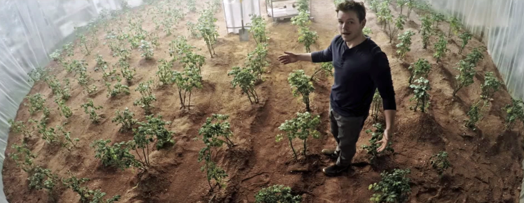 It's 4:20 somewhere on Mars.