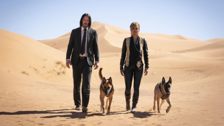 You end up wearing a suit in the desert.